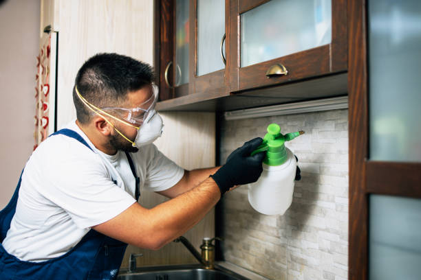 Best Commercial Pest Control Services  in Mount Pleasant, NC