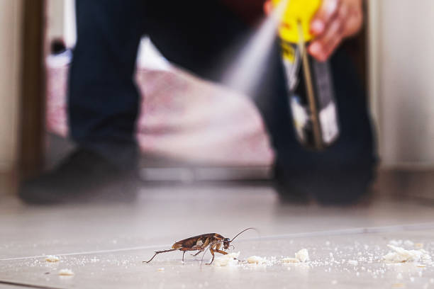 Best Mosquito Control Services  in Mount Pleasant, NC
