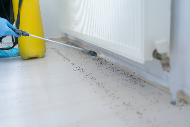 Professional Pest Control in Mount Pleasant, NC